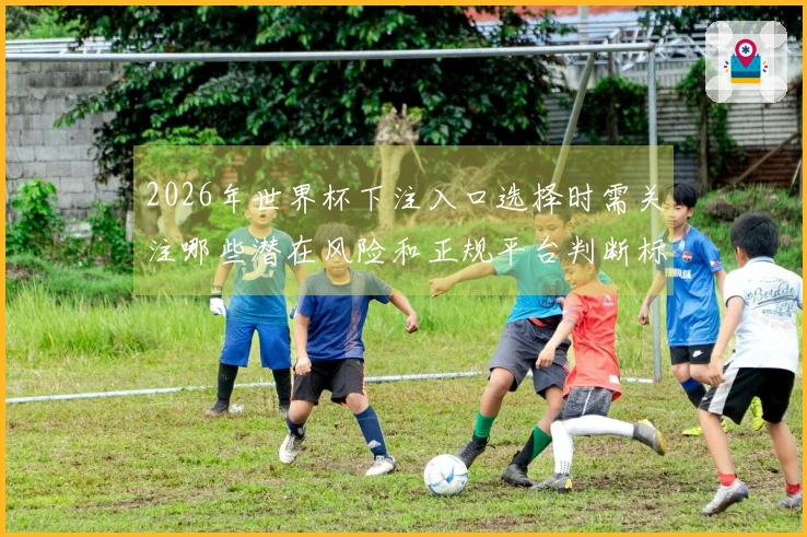 2026年世界杯下注入口选择时需关注哪些潜在风险和正规平台判断标准