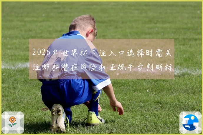 2026年世界杯下注入口选择时需关注哪些潜在风险和正规平台判断标准