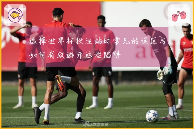 选择世界杯投注站时常见的误区与如何有效避开这些陷阱